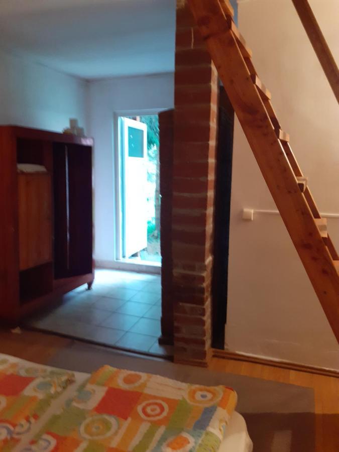 Cabana Valea Stanciului Rachitele Eksteriør bilde